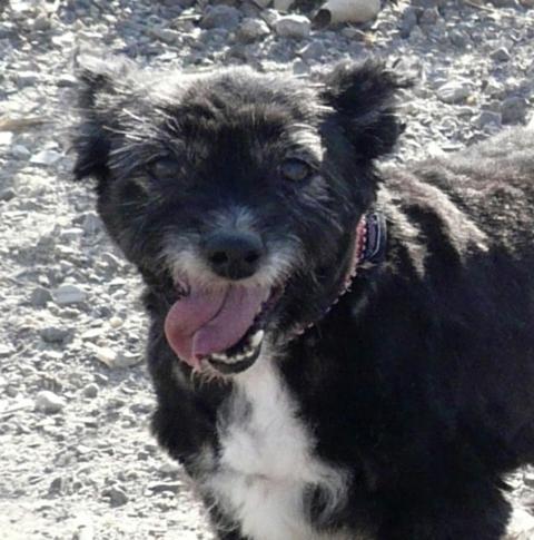 multimedia-foto42951-531-3