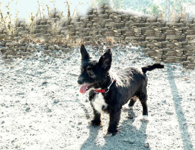 multimedia-foto42952-531-3