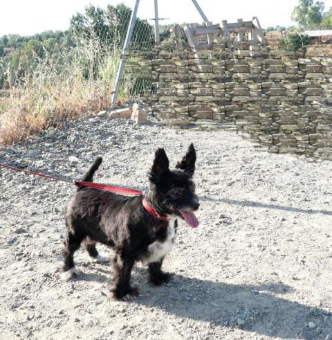 multimedia-foto42953-532-3