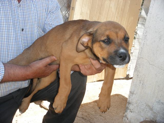 multimedia-foto42959-506-3