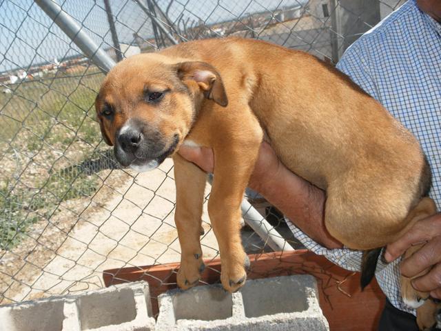 multimedia-foto42960-507-3