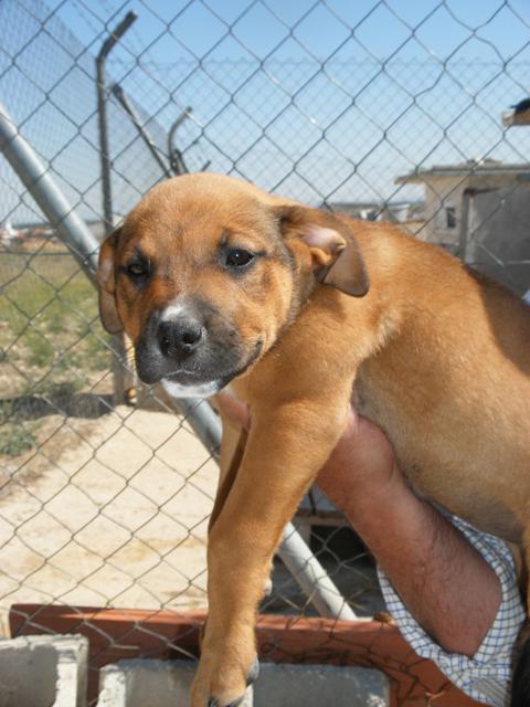 multimedia-foto42961-507-3