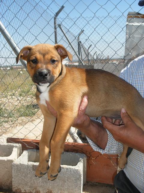 multimedia-foto42962-542-3