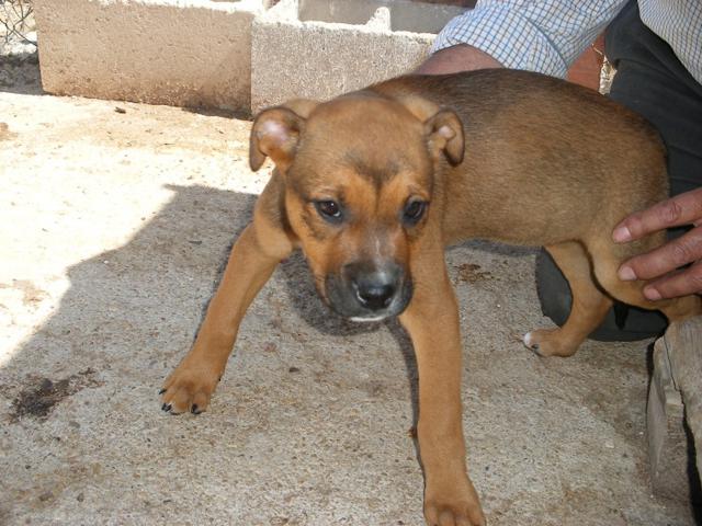 multimedia-foto42963-542-3