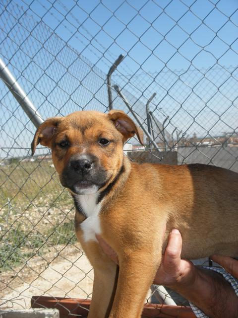 multimedia-foto42964-542-3