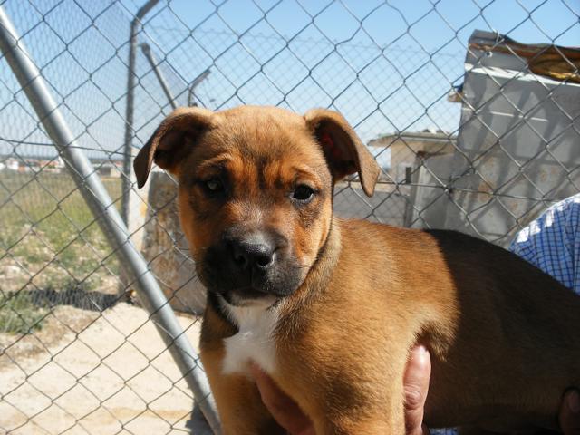 multimedia-foto42965-543-3