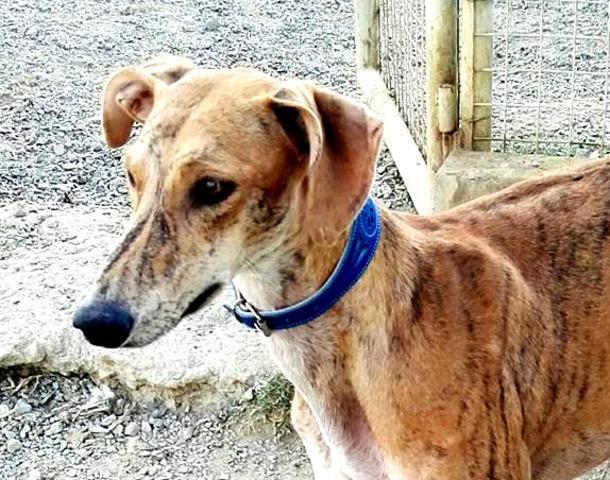 multimedia-foto42971-30-3