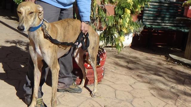 multimedia-foto42972-30-3