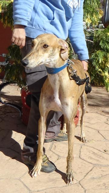 multimedia-foto42973-31-3