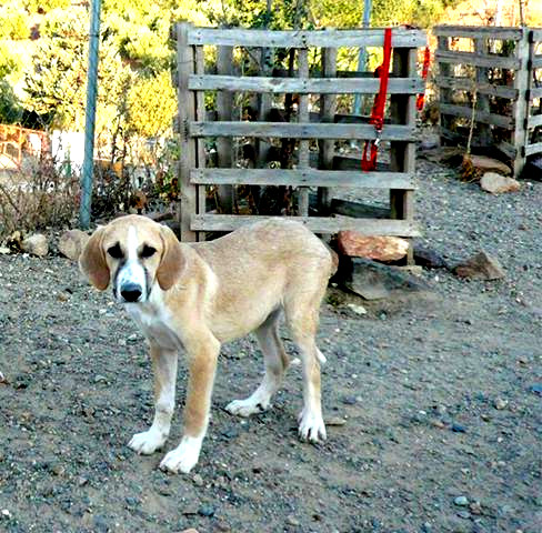 multimedia-foto42999-610-3