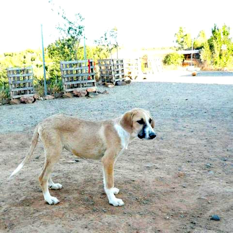 multimedia-foto43000-611-3