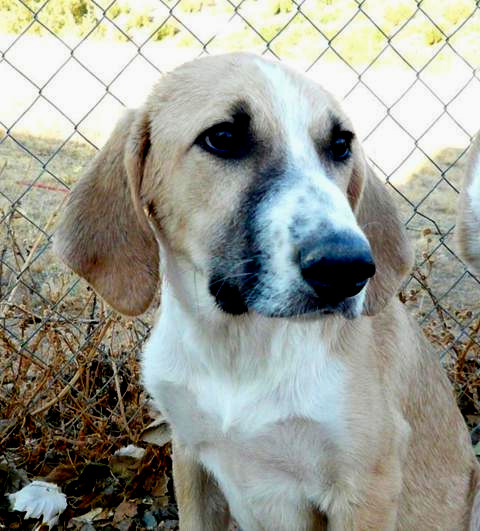 multimedia-foto43001-611-3