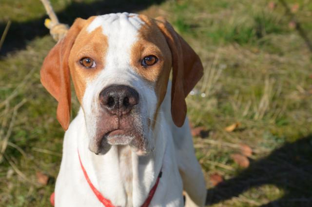 ????????????????????????????????????