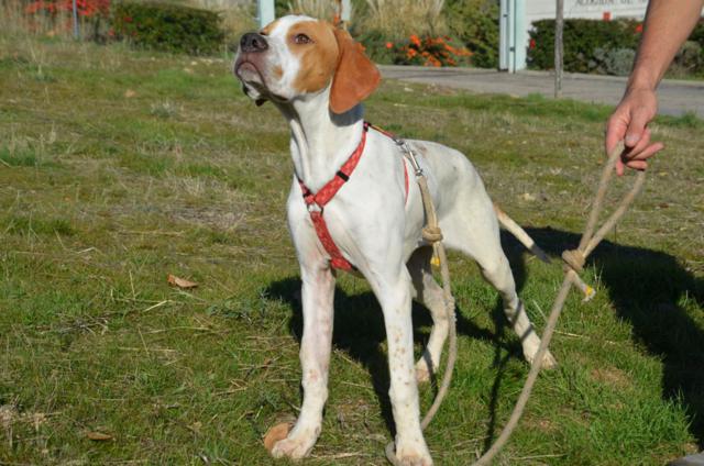 ????????????????????????????????????