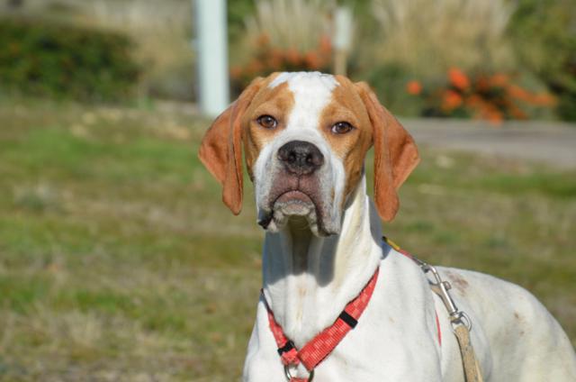 ????????????????????????????????????