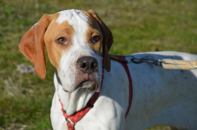 ????????????????????????????????????