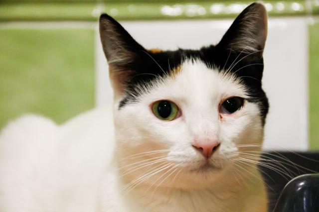 multimedia-foto43022-335-3