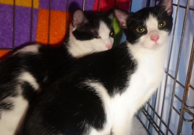 multimedia-foto43044-226-3