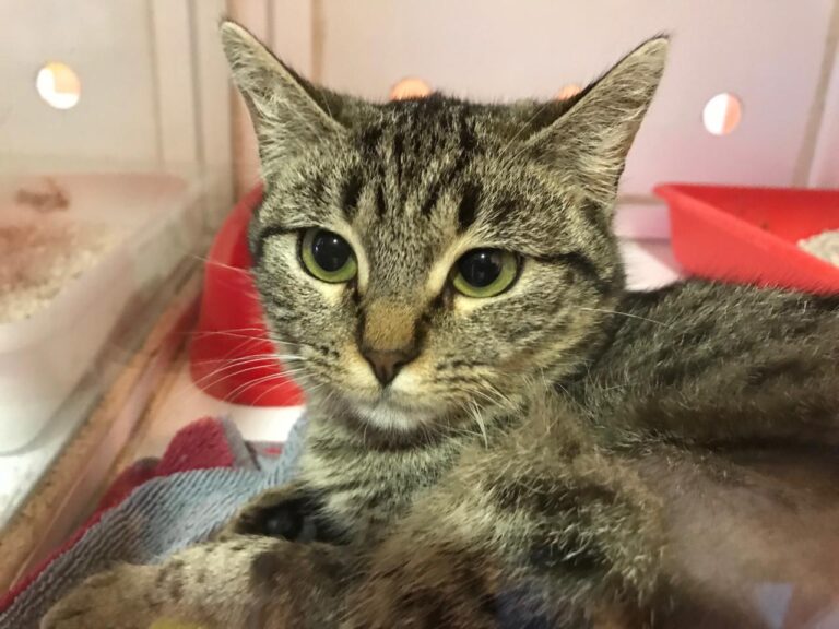 multimedia-foto43049-722-3