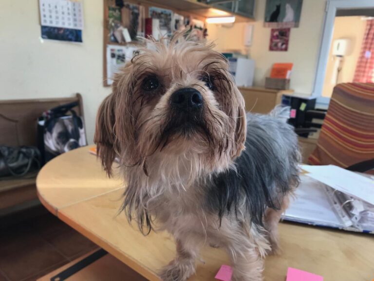 multimedia-foto43057-766-3