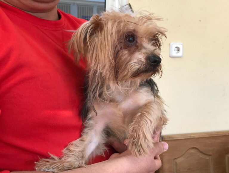 multimedia-foto43058-767-3