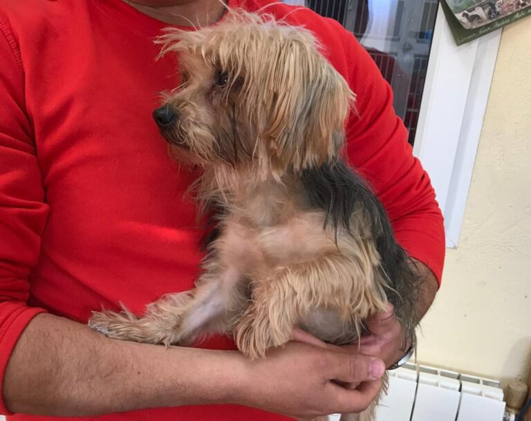 multimedia-foto43059-767-3