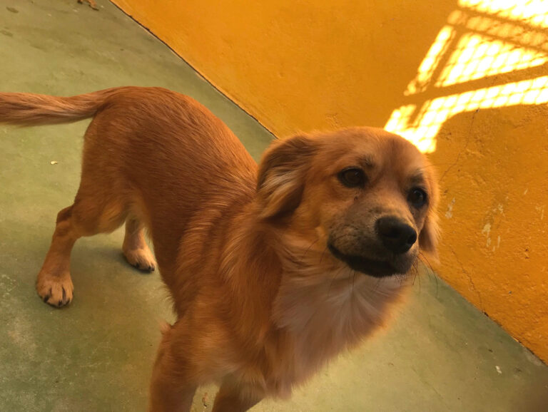 multimedia-foto43069-65-3