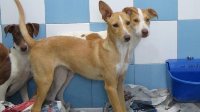 multimedia-foto43080-730-3