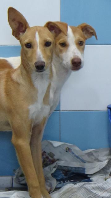 multimedia-foto43081-731-3