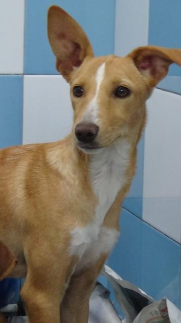 multimedia-foto43082-731-3