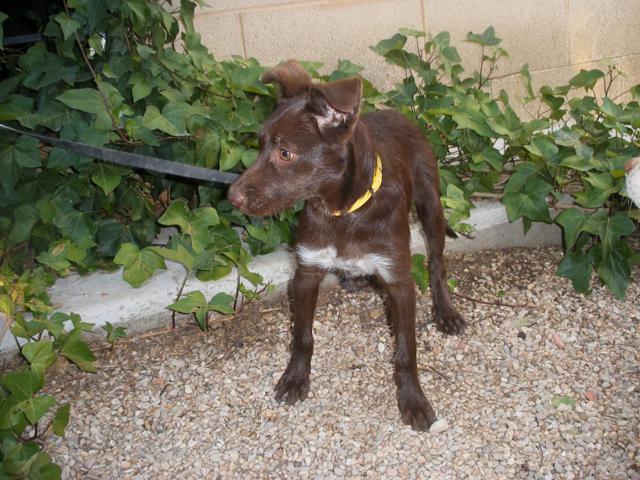 multimedia-foto43096-739-3