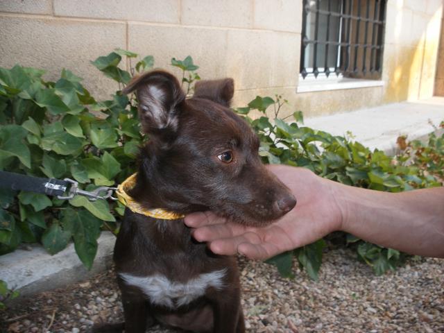 multimedia-foto43097-740-3