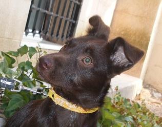 multimedia-foto43098-740-3