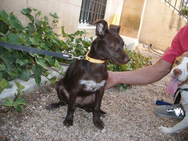 multimedia-foto43099-740-3