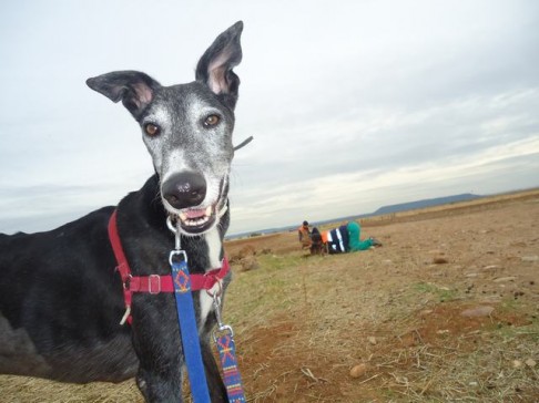 multimedia-foto43116-37-3