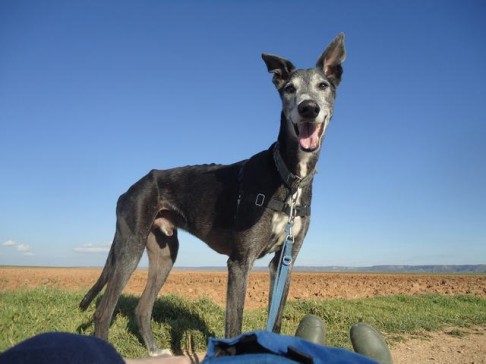 multimedia-foto43117-37-3