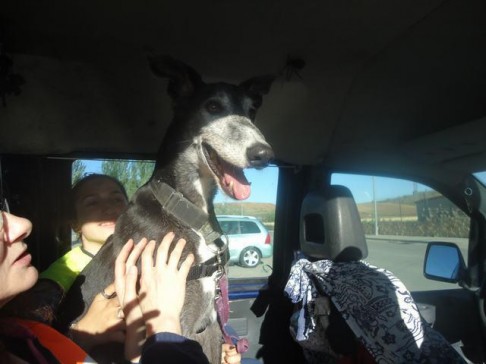 multimedia-foto43120-38-3