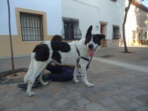 multimedia-foto43121-531-3