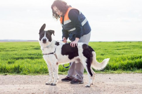 multimedia-foto43122-532-3