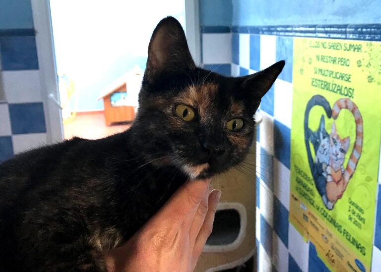 multimedia-foto43142-177-3