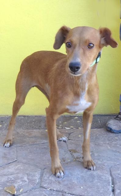 multimedia-foto43168-862-3