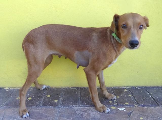 multimedia-foto43169-862-3