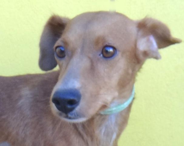 multimedia-foto43170-863-3