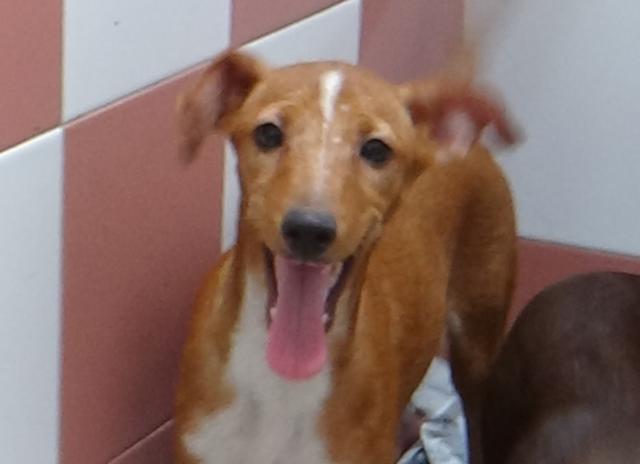 multimedia-foto43206-436-5