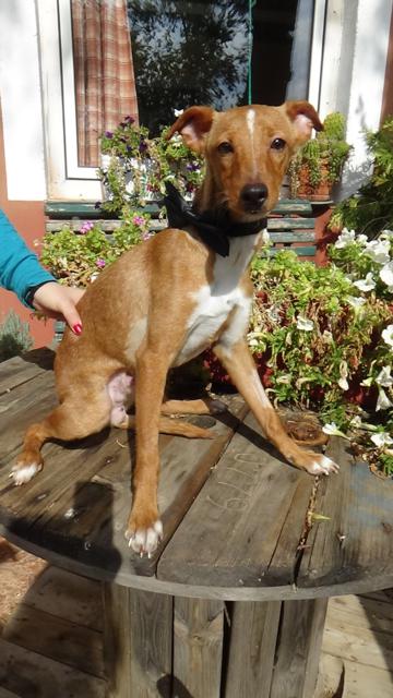 multimedia-foto43207-437-5