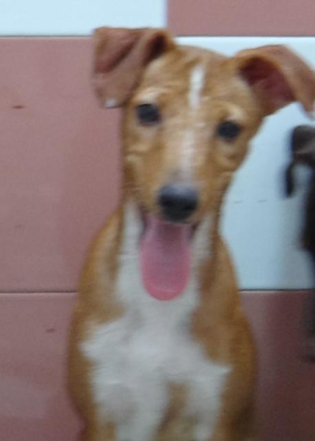 multimedia-foto43208-437-5