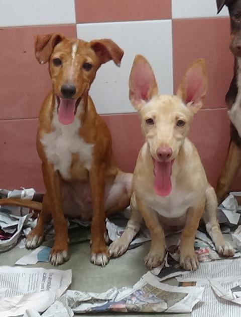 multimedia-foto43209-437-5