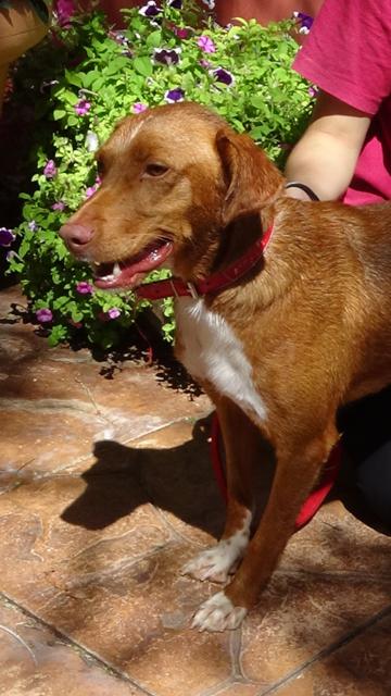 multimedia-foto43218-665-5