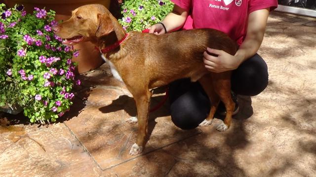 multimedia-foto43219-665-5