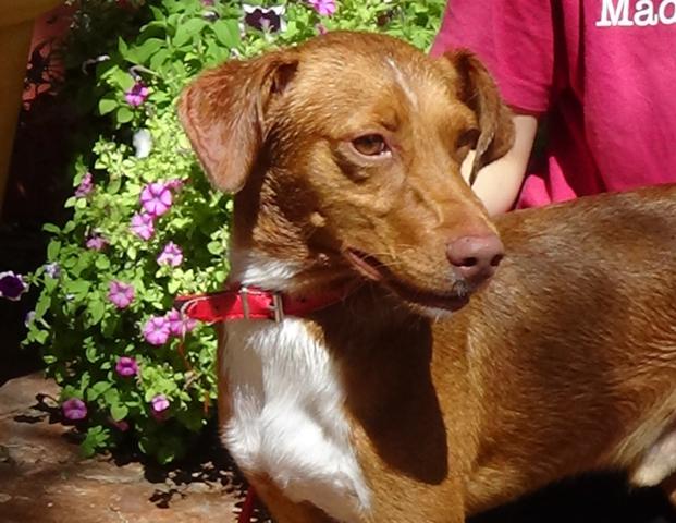 multimedia-foto43220-666-5